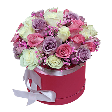Box of different color roses