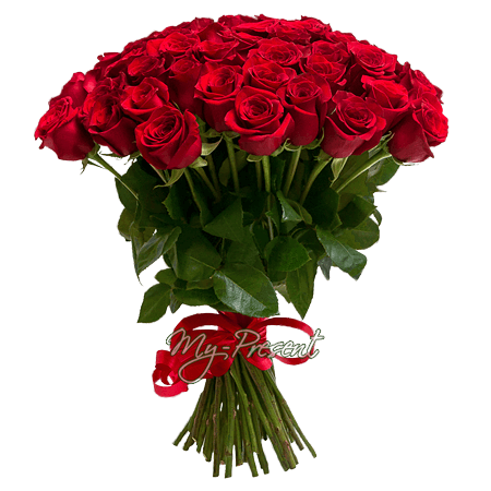 Bouquet of red roses (60 cm.)