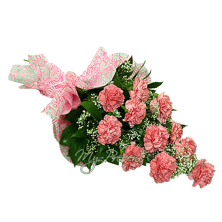 Bouquet of carnations