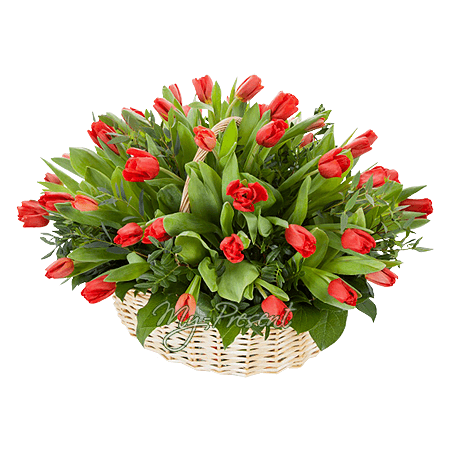 Basket with tulips